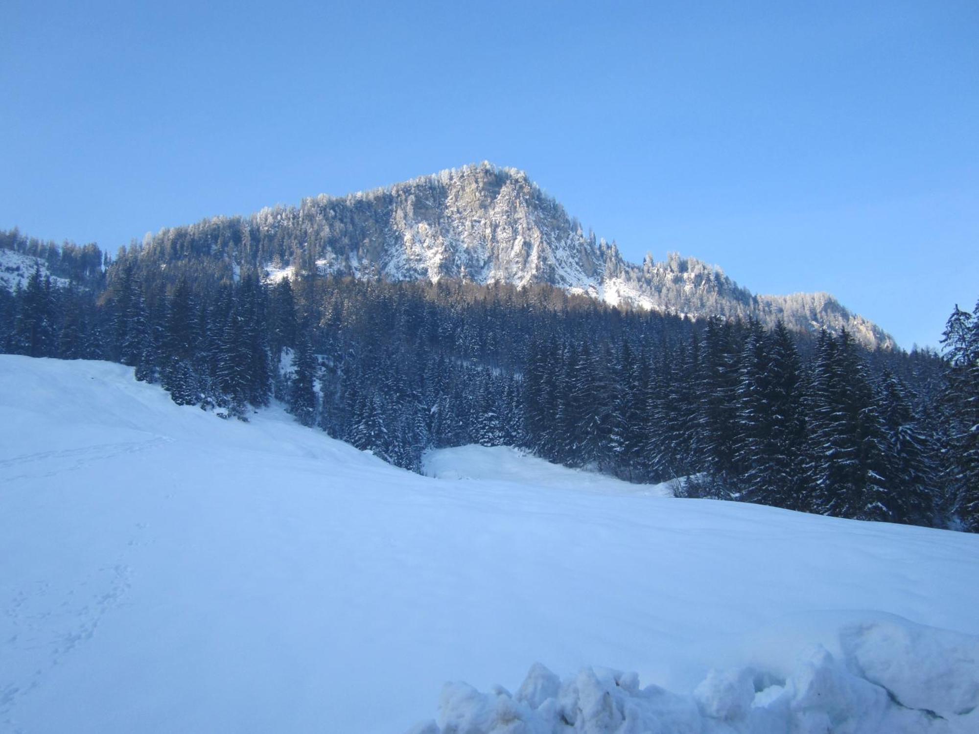 Oberschlassbergbauer Wald im Pinzgau Exterior foto